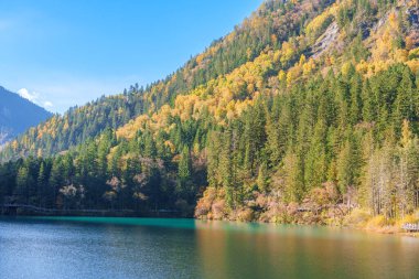 Sahne Jiuzhaigou Ulusal Parkı Sichuan, Çin. Ok Bambu Gölü 'nün ve Sonbahar mevsiminde kar dağının güzelliği. Chengdu, Çin yakınlarındaki ünlü Landmark ve Tatil. Asya seyahat kavramı