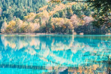 Sahne Jiuzhaigou Ulusal Parkı Sichuan, Çin. Güz mevsiminde Güzel Beş Çiçek Gölü. Chengdu, Çin yakınlarındaki ünlü Landmark ve Tatil. Asya seyahat kavramı