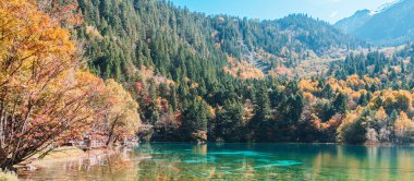Sahne Jiuzhaigou Ulusal Parkı Sichuan, Çin. Güz mevsiminde Güzel Beş Çiçek Gölü. Chengdu, Çin yakınlarındaki ünlü Landmark ve Tatil. Asya seyahat kavramı