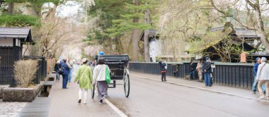 Kakunodate Samuray Köyü 'ndeki Sakura Kiraz Çiçeği ya da Kakunodate Kasabası' ndaki Küçük Kyoto, Akita Bölgesi, Japonya. Akita, Japonya, 23 Nisan 2025