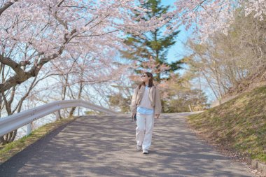Baharda Sakura Kiraz Çiçeği 'ni gezen bir turist. Saigyo Modoshi no Matsu 'ya Matsushima Körfezi üzerinden seyahat eden mutlu gezgin, Miyagi Bölgesi, Japonya. Meşhur Tarihi Yer ve Tatil