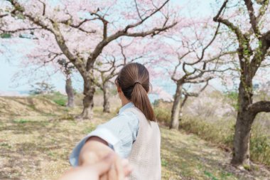 Baharda Sakura Kiraz Çiçeği 'ni gezen iki turist. Japonya 'nın Miyagi Bölgesi Matsushima Körfezi üzerindeki Saigyo Modoshi no Matsu Parkı' na iyi yolculuklar. Tatil ve seyahat