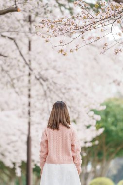 Kajo Park Yamagata Kalesi 'ni gezen turist, ilkbaharda Sakura Kiraz Çiçeği ile birlikte harabeleri gezen mutlu gezgin Yamagata, Tohoku, Japonya' ya seyahat ediyor. Meşhur Seyahat ve Tatil Tarihi