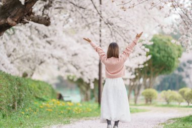 Kajo Park Yamagata Kalesi 'ni gezen turist, ilkbaharda Sakura Kiraz Çiçeği ile birlikte harabeleri gezen mutlu gezgin Yamagata, Tohoku, Japonya' ya seyahat ediyor. Meşhur Seyahat ve Tatil Tarihi