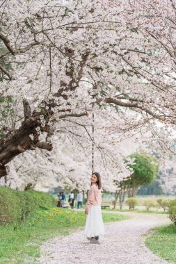 Kajo Park Yamagata Kalesi 'ni gezen turist, ilkbaharda Sakura Kiraz Çiçeği ile birlikte harabeleri gezen mutlu gezgin Yamagata, Tohoku, Japonya' ya seyahat ediyor. Meşhur Seyahat ve Tatil Tarihi