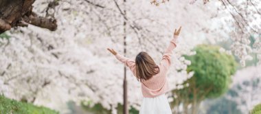 Kajo Park Yamagata Kalesi 'ni gezen turist, ilkbaharda Sakura Kiraz Çiçeği ile birlikte harabeleri gezen mutlu gezgin Yamagata, Tohoku, Japonya' ya seyahat ediyor. Meşhur Seyahat ve Tatil Tarihi