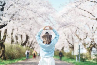 Kitakami Tenshochi Parkı 'nı bahar aylarında Sakura Kiraz Çiçeği ile gezen bir kadın, Kitakami Festivali' nde seyahat eden gezgin, Iwate Bölgesi, Japonya. Seyahat ve Tatil için Dönüm Noktası