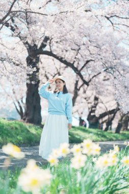 Kitakami Tenshochi Parkı 'nı bahar aylarında Sakura Kiraz Çiçeği ile gezen bir kadın, Kitakami Festivali' nde seyahat eden gezgin, Iwate Bölgesi, Japonya. Seyahat ve Tatil için Dönüm Noktası