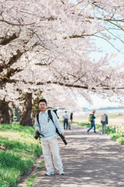 Kitakami Tenshochi Parkı 'nı baharda Sakura Kiraz Çiçeği ile gezen bir turist, Kitakami Festivali' nde seyahat eden gezgin, Iwate Bölgesi, Japonya. Seyahat ve Tatil için Dönüm Noktası