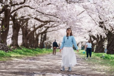 Kitakami Tenshochi Parkı 'nı bahar aylarında Sakura Kiraz Çiçeği ile gezen bir kadın, Kitakami Festivali' nde seyahat eden gezgin, Iwate Bölgesi, Japonya. Seyahat ve Tatil için Dönüm Noktası