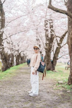 Baharda Sakura Kiraz Çiçeği 'ni gezen bir turist. Mutlu gezginler Japonya 'nın Akita ilinin Semboku ilçesindeki Kakunodate kasabasındaki Hinokinai Nehri nehir kıyısı yakınlarında seyahat ederler. Tarihi Eserler ve Tatil