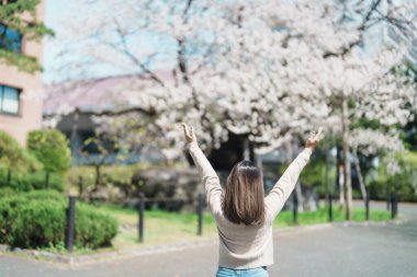 Kaya kıran kiraz ağacı ya da Ishiwarizakura 'yı gezen kadın, Morioka, Iwate, Japonya' da mutlu bir gezgin seyahati. Ünlü Landmark Seyahat ve Tatil Yeri