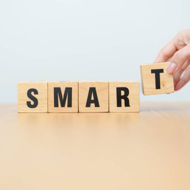 Tahta blok. Akıllı. Akıllı, zeki, başlangıç, başlangıç, büyüme ve yeni yaşam bölümü kavramları