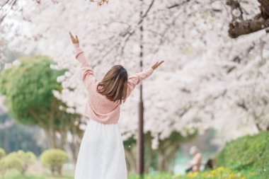 Kajo Park Yamagata Kalesi 'ni gezen turist, ilkbaharda Sakura Kiraz Çiçeği ile birlikte harabeleri gezen mutlu gezgin Yamagata, Tohoku, Japonya' ya seyahat ediyor. Meşhur Seyahat ve Tatil Tarihi