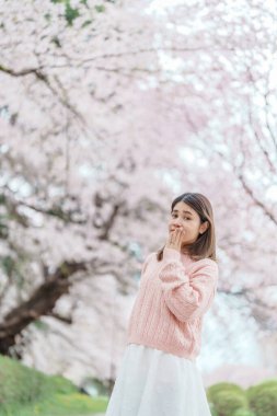Kajo Park Yamagata Kalesi 'ni gezen turist, ilkbaharda Sakura Kiraz Çiçeği ile birlikte harabeleri gezen mutlu gezgin Yamagata, Tohoku, Japonya' ya seyahat ediyor. Meşhur Seyahat ve Tatil Tarihi