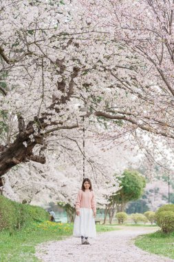 Kajo Park Yamagata Kalesi 'ni gezen turist, ilkbaharda Sakura Kiraz Çiçeği ile birlikte harabeleri gezen mutlu gezgin Yamagata, Tohoku, Japonya' ya seyahat ediyor. Meşhur Seyahat ve Tatil Tarihi
