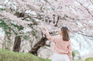 Kajo Park Yamagata Kalesi 'ni gezen turist, ilkbaharda Sakura Kiraz Çiçeği ile birlikte harabeleri gezen mutlu gezgin Yamagata, Tohoku, Japonya' ya seyahat ediyor. Meşhur Seyahat ve Tatil Tarihi