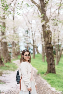Kajo Park Yamagata Kalesi 'ni gezen turist, ilkbaharda Sakura Kiraz Çiçeği ile birlikte harabeleri gezen mutlu gezgin Yamagata, Tohoku, Japonya' ya seyahat ediyor. Meşhur Seyahat ve Tatil Tarihi