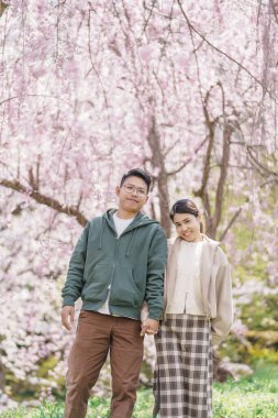 Baharda Sakura Kiraz Çiçeği 'ni gezen bir çift, Japonya' nın Tohoku kentindeki Yamagata bölgesindeki Tendo Park veya Maizuru Park 'ta gezen mutlu gezgin. Meşhur Seyahat ve Tatil Tarihi