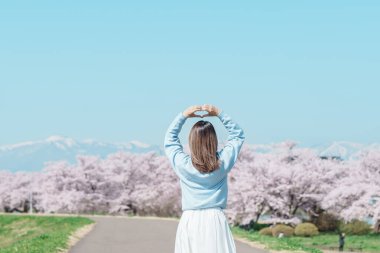 Kitakami Tenshochi Parkı 'nı bahar aylarında Sakura Kiraz Çiçeği ile gezen bir kadın, Kitakami Festivali' nde seyahat eden gezgin, Iwate Bölgesi, Japonya. Seyahat ve Tatil için Dönüm Noktası