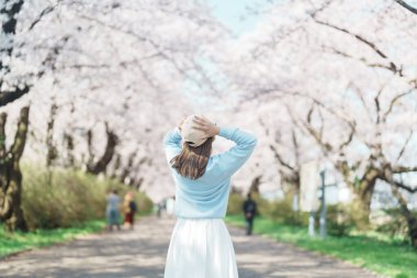 Kitakami Tenshochi Parkı 'nı bahar aylarında Sakura Kiraz Çiçeği ile gezen bir kadın, Kitakami Festivali' nde seyahat eden gezgin, Iwate Bölgesi, Japonya. Seyahat ve Tatil için Dönüm Noktası
