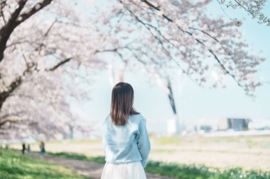 Kitakami Tenshochi Parkı 'nı bahar aylarında Sakura Kiraz Çiçeği ile gezen bir kadın, Kitakami Festivali' nde seyahat eden gezgin, Iwate Bölgesi, Japonya. Seyahat ve Tatil için Dönüm Noktası