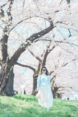 Kitakami Tenshochi Parkı 'nı bahar aylarında Sakura Kiraz Çiçeği ile gezen bir kadın, Kitakami Festivali' nde seyahat eden gezgin, Iwate Bölgesi, Japonya. Seyahat ve Tatil için Dönüm Noktası