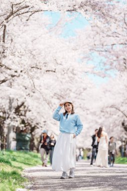 Kitakami Tenshochi Parkı 'nı bahar aylarında Sakura Kiraz Çiçeği ile gezen bir kadın, Kitakami Festivali' nde seyahat eden gezgin, Iwate Bölgesi, Japonya. Seyahat ve Tatil için Dönüm Noktası