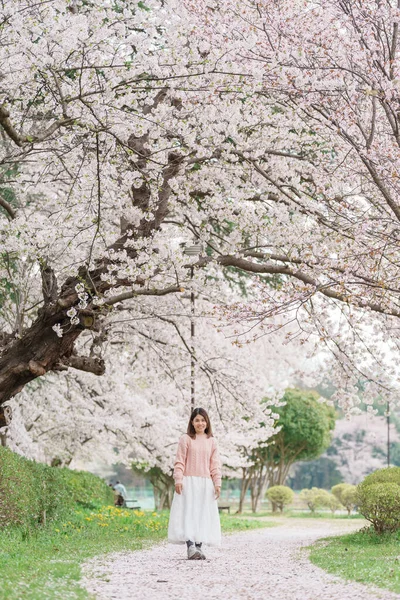 Kajo Park Yamagata Kalesi 'ni gezen turist, ilkbaharda Sakura Kiraz Çiçeği ile birlikte harabeleri gezen mutlu gezgin Yamagata, Tohoku, Japonya' ya seyahat ediyor. Meşhur Seyahat ve Tatil Tarihi