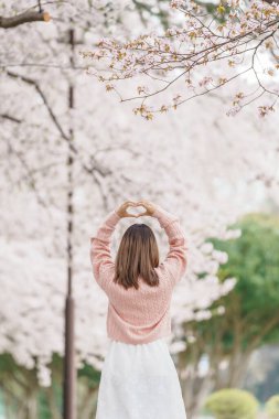 Kajo Park Yamagata Kalesi 'ni gezen turist, ilkbaharda Sakura Kiraz Çiçeği ile birlikte harabeleri gezen mutlu gezgin Yamagata, Tohoku, Japonya' ya seyahat ediyor. Meşhur Seyahat ve Tatil Tarihi