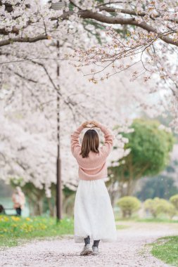 Kajo Park Yamagata Kalesi 'ni gezen turist, ilkbaharda Sakura Kiraz Çiçeği ile birlikte harabeleri gezen mutlu gezgin Yamagata, Tohoku, Japonya' ya seyahat ediyor. Meşhur Seyahat ve Tatil Tarihi