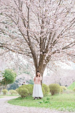 Kajo Park Yamagata Kalesi 'ni gezen turist, ilkbaharda Sakura Kiraz Çiçeği ile birlikte harabeleri gezen mutlu gezgin Yamagata, Tohoku, Japonya' ya seyahat ediyor. Meşhur Seyahat ve Tatil Tarihi