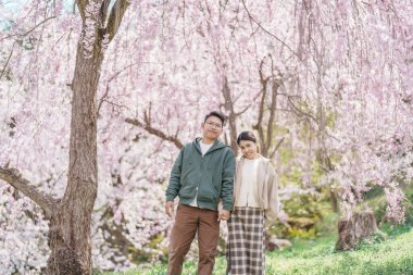 Baharda Sakura Kiraz Çiçeği 'ni gezen bir çift, Japonya' nın Tohoku kentindeki Yamagata bölgesindeki Tendo Park veya Maizuru Park 'ta gezen mutlu gezgin. Meşhur Seyahat ve Tatil Tarihi
