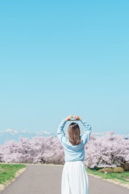 Kitakami Tenshochi Parkı 'nı bahar aylarında Sakura Kiraz Çiçeği ile gezen bir kadın, Kitakami Festivali' nde seyahat eden gezgin, Iwate Bölgesi, Japonya. Seyahat ve Tatil için Dönüm Noktası