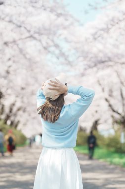 Kitakami Tenshochi Parkı 'nı bahar aylarında Sakura Kiraz Çiçeği ile gezen bir kadın, Kitakami Festivali' nde seyahat eden gezgin, Iwate Bölgesi, Japonya. Seyahat ve Tatil için Dönüm Noktası