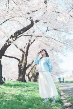 Kitakami Tenshochi Parkı 'nı bahar aylarında Sakura Kiraz Çiçeği ile gezen bir kadın, Kitakami Festivali' nde seyahat eden gezgin, Iwate Bölgesi, Japonya. Seyahat ve Tatil için Dönüm Noktası