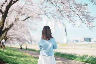 Kitakami Tenshochi Parkı 'nı bahar aylarında Sakura Kiraz Çiçeği ile gezen bir kadın, Kitakami Festivali' nde seyahat eden gezgin, Iwate Bölgesi, Japonya. Seyahat ve Tatil için Dönüm Noktası