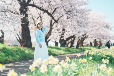 Kitakami Tenshochi Parkı 'nı bahar aylarında Sakura Kiraz Çiçeği ile gezen bir kadın, Kitakami Festivali' nde seyahat eden gezgin, Iwate Bölgesi, Japonya. Seyahat ve Tatil için Dönüm Noktası