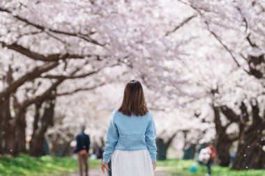Kitakami Tenshochi Parkı 'nı bahar aylarında Sakura Kiraz Çiçeği ile gezen bir kadın, Kitakami Festivali' nde seyahat eden gezgin, Iwate Bölgesi, Japonya. Seyahat ve Tatil için Dönüm Noktası