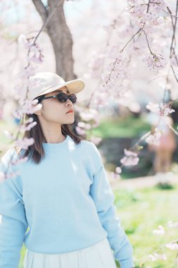 Kitakami Tenshochi Parkı 'nı bahar aylarında Sakura Kiraz Çiçeği ile gezen bir kadın, Kitakami Festivali' nde seyahat eden gezgin, Iwate Bölgesi, Japonya. Seyahat ve Tatil için Dönüm Noktası