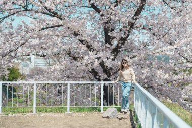 Baharda Morioka Şatosu Harabeleri Parkı 'nda çiçek açan Sakura Kiraz Çiçeği' ni gezen bir turist Iwate Park, Iwate Bölgesi, Japonya 'da mutlu bir gezgin. Ünlü Landmark Seyahat ve Tatil Yeri