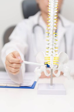 İnsan omurga anatomisi modeli olan bir doktor. Omurilik Bozukluğu ve Hastalık, Sırt Ağrısı, Lumbar, Sacral leğen kemiği, Servikal Boyun, Torasik, Coccyx, Ortopedi, Masaj, Ofis Sendromu ve Sağlık Sendromu