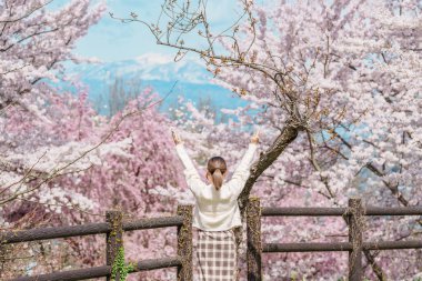 Baharda Sakura Kiraz Çiçeği 'ni gezen bir turist, Japonya' nın Tohoku kentindeki Yamagata bölgesindeki Tendo Park veya Maizuru Park 'ta gezen mutlu bir gezgin. Meşhur Seyahat ve Tatil Tarihi