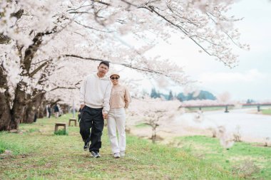 Baharda Sakura Kiraz Çiçeği 'ni gezen bir çift. Mutlu gezginler Japonya 'nın Akita ilinin Semboku ilçesindeki Kakunodate kasabasındaki Hinokinai Nehri nehir kıyısı yakınlarında seyahat ederler. Tarihi Eserler ve Tatil