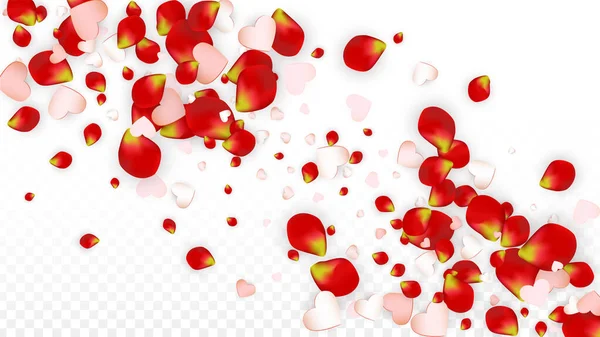 Vector Realistic Petals Hearts Confetti Flying Rose Hearts Transparent Background — Stock Vector