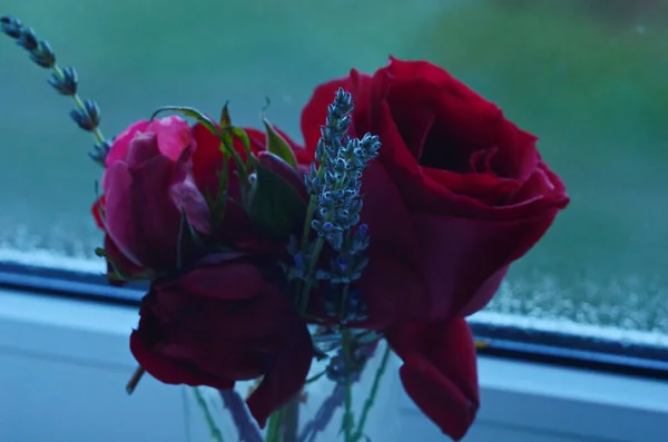 Bouquet Roses Été Dans Vase Verre Près Fenêtre — Photo