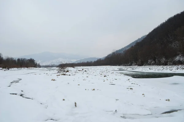 Mountain River Wintertime Carpathian Landscape Spruce Forest Snow Covered Shore — Stock Photo, Image