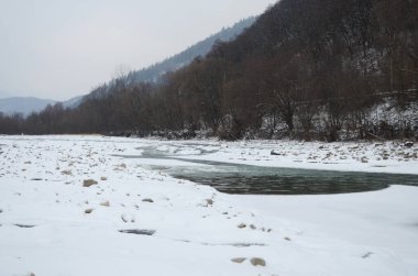Kış zamanı dağ nehri. Ladin ormanı ve karla kaplı kıyısı olan Karpatya manzarası. Ulusal Park, Ukrayna