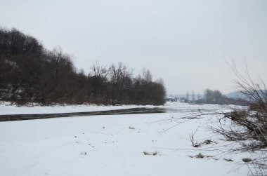 Kış zamanı dağ nehri. Ladin ormanı ve karla kaplı kıyısı olan Karpatya manzarası. Ulusal Park, Ukrayna