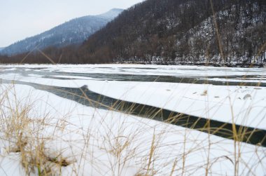Kış zamanı dağ nehri. Ladin ormanı ve karla kaplı kıyısı olan Karpatya manzarası. Ulusal Park, Ukrayna